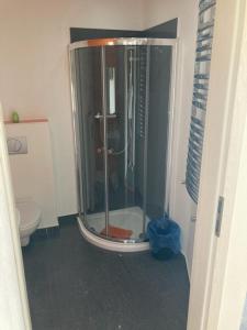a bathroom with a shower and a toilet at Zielony Daszek in Sianozety +18 photos
