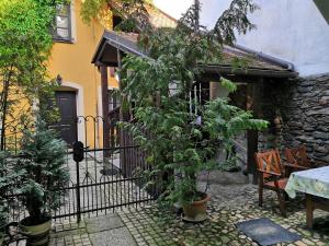 Zahrada ubytování Apartmány v Centru