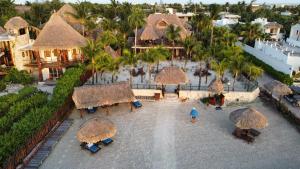 a beach scene with a pool, chairs, and umbrellas at Beach Guesthouse Holbox Apartments & Suites in Holbox Island