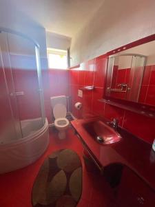 bagno rosso con servizi igienici e lavandino di Agropensiune Turistica Maria a Isverna