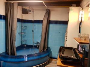 ein Badezimmer mit einer blauen Badewanne und einer Dusche in der Unterkunft Gite l'Escale in Gigny-sur-Saône