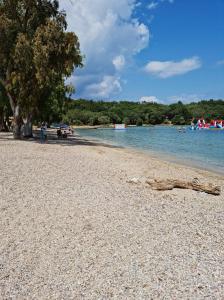 a log on the beach with people in the water w obiekcie Terpsichore boutique Bright new Sofita studios and appartment w mieście Dassia