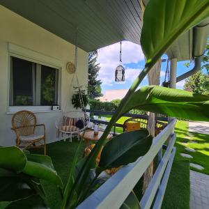 Vonkajšia záhrada v ubytovaní Világos Kert Balatonvilágos Chill House
