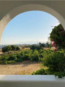 Fotografie z fotogalerie ubytování Vino suites v destinaci Agia Anna Naxos