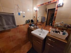 a bathroom with a sink and a mirror at Shutter Apartment in Gorzów Wielkopolski