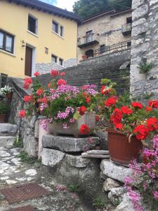 a bunch of flowers in pots on a stone wall at ANTICA NEVIERA HOUSE in Castel di Sangro