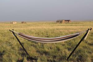 Foto dalla galleria di Starlight Tent 3 a Holbrook