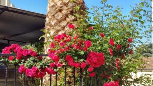 Φωτογραφία από το άλμπουμ του Hotel Rural El Molino σε Baños de Montemayor