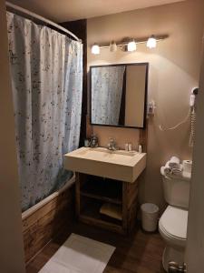 a bathroom with a sink and a toilet and a mirror at Le Lodge du lac in Saint-Faustin