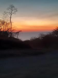 einen Sonnenuntergang mit einem Baum auf einem Hügel in der Unterkunft Cabinas coco azul Guanacaste in Guanacaste