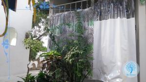 Fotografie z fotogalerie ubytování Ypê Branco Camping Conforto v destinaci Paraty