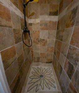 a shower with a design on the floor at La perle marine in Le Diamant
