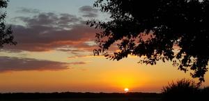 un tramonto con il tramonto sullo sfondo di La Monturera, Loft de campo a Colonia del Sacramento