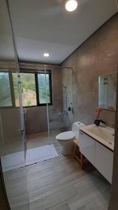 a bathroom with a shower and a toilet and a sink at 印象莊園包棟民宿,一日一組客人,依人數開房 in Xihu