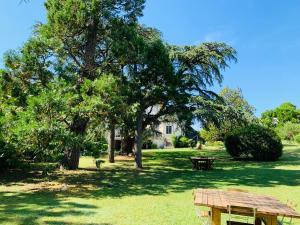 a picnic table in a park with trees and a house at Domaine des Ondes in Millau
