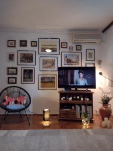 TV a/nebo společenská místnost v ubytování Apartman ZITA