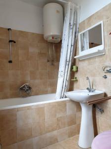 多布拉沃達的住宿－Apartman Veliki Pijesak，浴室配有盥洗盆和浴缸。