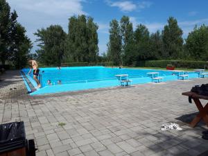 a man standing on a slide in a swimming pool at Ferienhaus Schlothauer 1 in Tiszacsege