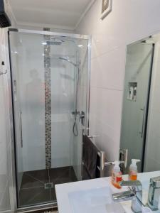 a bathroom with a shower with a sink and a mirror at Hidden Gem and Entire Bungalow in Central hutt in Lower Hutt