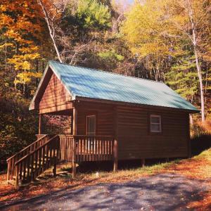 une petite cabane en bois avec un escalier dans les bois dans l'établissement Little River Cabin, à Sparta