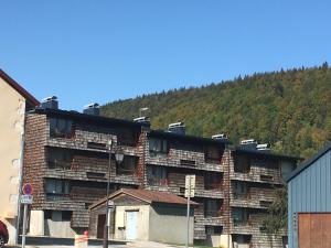 um grande edifício de tijolos com uma montanha ao fundo em APPARTEMENT DE MONTAGNE em Mijoux