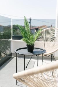 eine Topfpflanze auf einem Tisch neben zwei Stühlen in der Unterkunft Apartmani Toma in Pakoštane