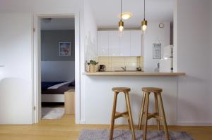 Η κουζίνα ή μικρή κουζίνα στο Apartment Zagreb 213 +23 φωτογραφίες