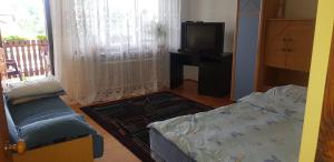 een woonkamer met een bank en een tv bij Świerkowy Zakątek in Krasnobród