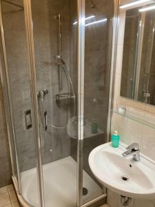 ein Bad mit einer Dusche und einem Waschbecken in der Unterkunft Wendlers Ferienwohnungen #1 #4 #5 #6 in Behringersdorf