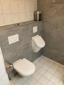 ein Badezimmer mit einem weißen WC und einem Waschbecken in der Unterkunft Wendlers Ferienwohnungen #1 #4 #5 #6 in Behringersdorf