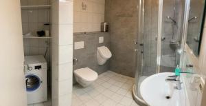 ein Bad mit einer Dusche, einem WC und einem Waschbecken in der Unterkunft Wendlers Ferienwohnungen #1 #4 #5 #6 in Behringersdorf