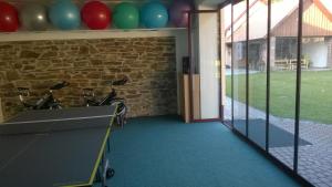 Fitness centrum a/nebo fitness zařízení v ubytování Studio pro 2 osoby se samostatným vstupem