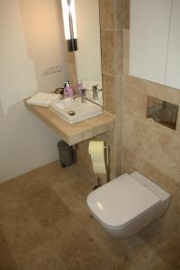 uma casa de banho com um WC e um lavatório em Apartment 1 em Mannheim