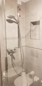 a shower with a glass door in a bathroom at Appartamenti LaDina Dolomiti in Padola +56 photos