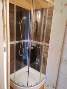 a shower with a glass enclosure in a room at Domek the luxe in Šluknov