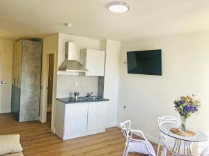 Kuchyň nebo kuchyňský kout v ubytování Apartamentos Santander Maliaño Suites 3000