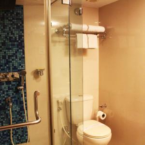 a bathroom with a toilet and a glass shower at Hotel Tip Top in Solan