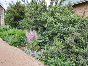 Κήπος έξω από το Clarens Mountain Sage Holiday House