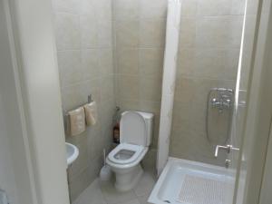 a small bathroom with a toilet and a shower at Apartments David in Perast