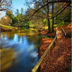 a river with a wooden fence next to a bridge at Loose Leaf Cottage in Kyneton