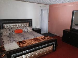 1 dormitorio con 1 cama grande en una habitación en Hotel Kashmir Lodge en Bālak Bhanna
