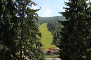 a view of a green field between two trees at № 32 in Azuga