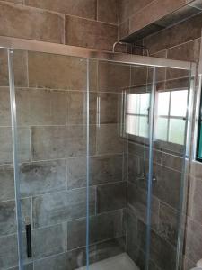 a shower with a glass door in a bathroom at Hospedaria D. Fernando in Viseu