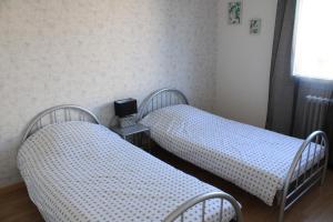2 łóżka pojedyncze w pokoju z oknem w obiekcie L'appartement d'Alexander w Troyes