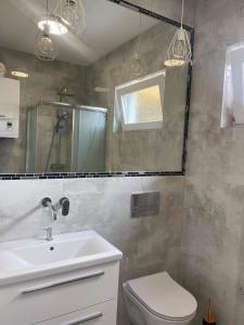 uma casa de banho com um lavatório, um WC e um espelho. em Bosman Domki em Białogóra