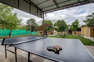 Stolní tenis v ubytování Guest House NAUKA#54 nebo okolí