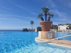 zwei Palmen in einem Topf neben einem Pool in der Unterkunft Cannes & More in Cannes