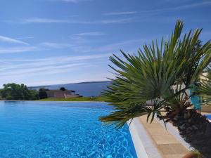 ein großer Pool mit einer Palme daneben in der Unterkunft Cannes & More in Cannes