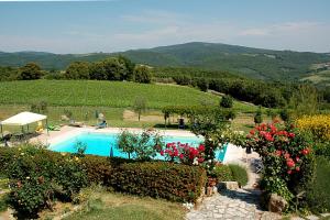 a swimming pool in the middle of a garden with flowers at Antico Borgo Il Cardino in San Gimignano