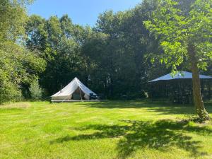 ein Zelt inmitten eines Grasfeldes in der Unterkunft Fonclaire Holidays Glamping 'Luxury Camping' in Blond